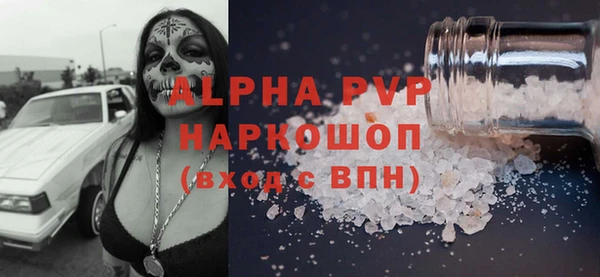 прущие грибы Волоколамск