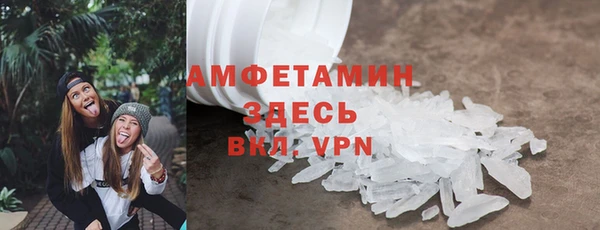 прущие грибы Волоколамск
