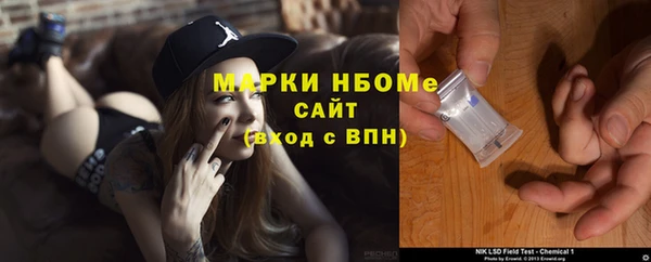 прущие грибы Волоколамск