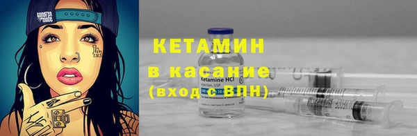 прущие грибы Волоколамск