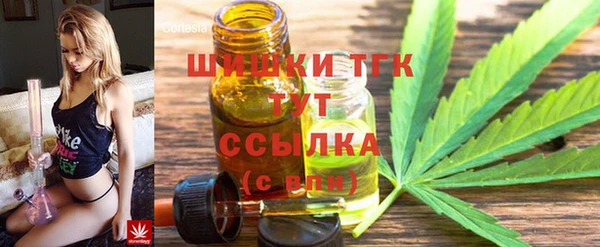 прущие грибы Волоколамск