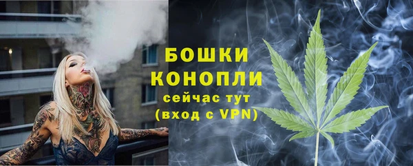 прущие грибы Волоколамск