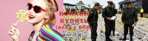 прущие грибы Верхний Тагил