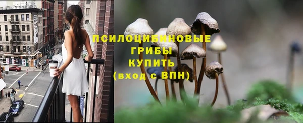 твердый Волосово