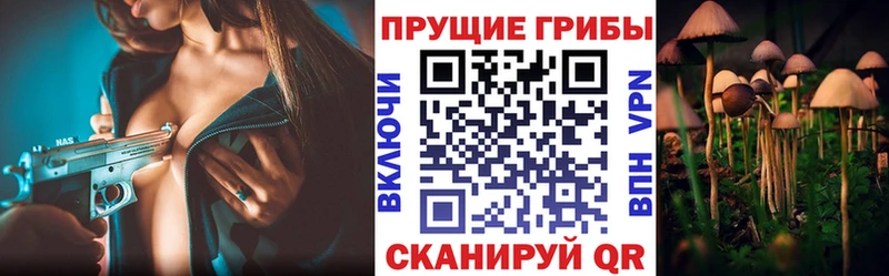 Псилоцибиновые грибы ЛСД Батайск