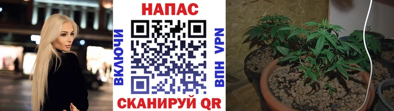 Бошки марихуана конопля  наркотики  Батайск 